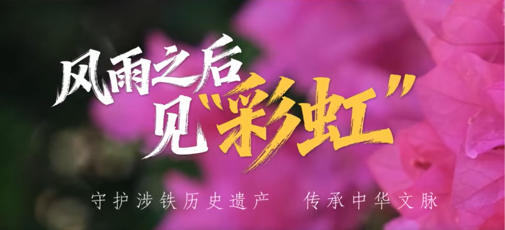 ��΢��Ƶ������֮������ʺ硱